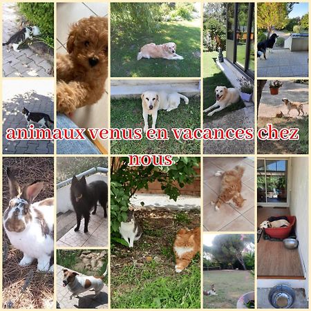 Gite Ma Vie La 3 Etoiles, Jacuzzi, Animaux Acceptes Saint-Julien-de-Cassagnas Екстер'єр фото